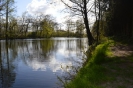 Vereinsgewässer_12